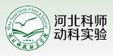 河北科師動(dòng)科實(shí)驗(yàn)中心網(wǎng)站制作 秦皇島網(wǎng)站制作 秦皇島網(wǎng)絡(luò)公司